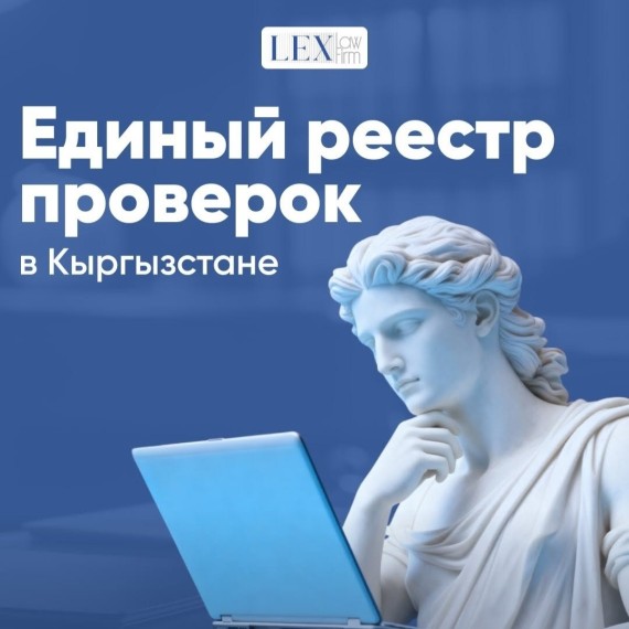 В Кыргызстане вводится единый реестр проверок