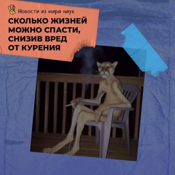 Сколько жизней можно спасти, снизив вред от курения