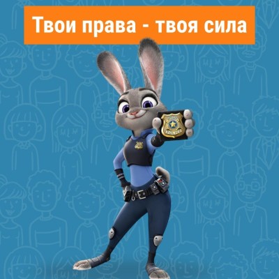 День прав человека. История, значение и роль каждого человека в защите свободы и достоинства