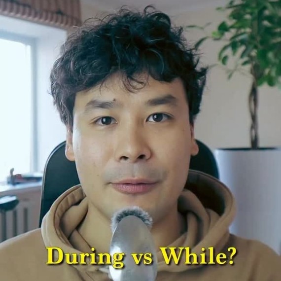 В чем разница между "during" и "while"?