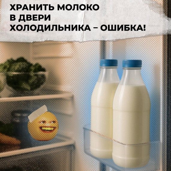 Хранить молоко в дверце холодильника — ошибка!