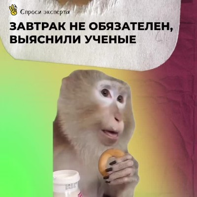 Завтрак не обязателен, выяснили ученые