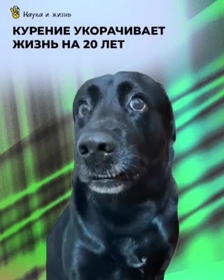 Курение укорачивает жизнь на 20 лет!