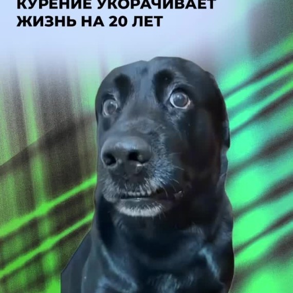 Курение укорачивает жизнь на 20 лет!