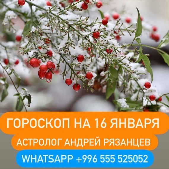 Гороскоп для всех знаков зодиака 16.01.2024