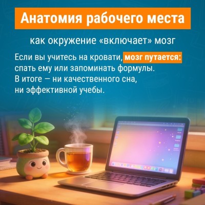 Анатомия рабочего места: как окружение "включает" мозг