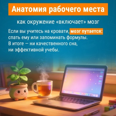 Анатомия рабочего места: как окружение "включает" мозг
