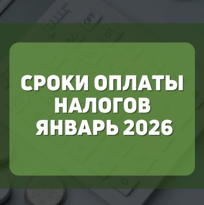Сроки оплаты налогов январь 2026 год