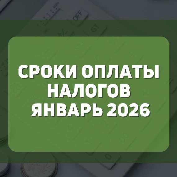 Сроки оплаты налогов январь 2026 год