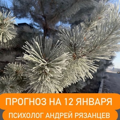Гороскоп для всех знаков зодиака 12.01.2026
