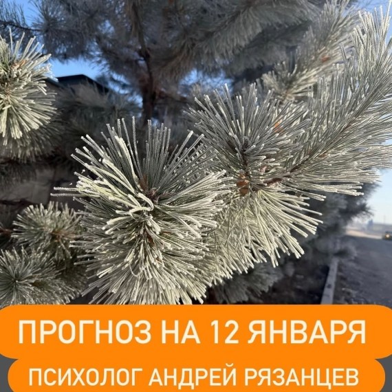 Гороскоп для всех знаков зодиака 12.01.2026