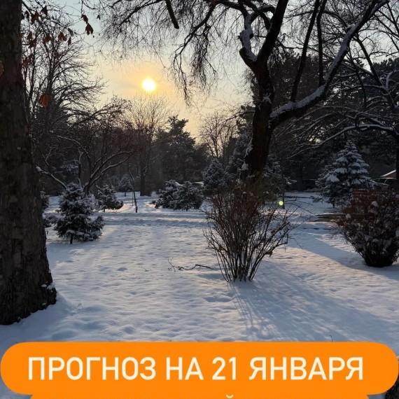 Гороскоп для всех знаков зодиака на 21 января 2026 года