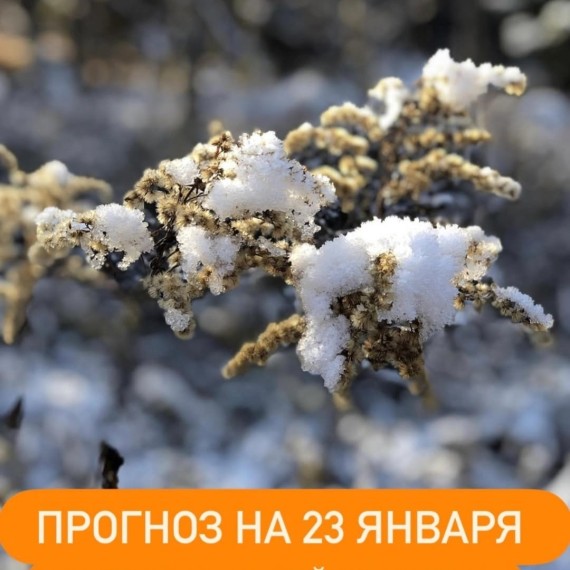 Гороскоп для всех знаков зодиака на 23 января 2026 года