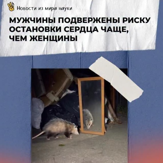 Мужчины подвержены риску остановки сердца чаще, чем женщины