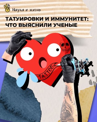 Татуировки и иммунитет: что выяснили ученые