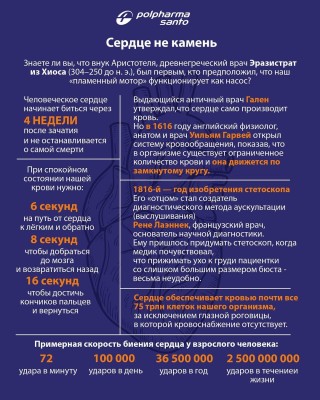 Что нужно знать о работе сердца?