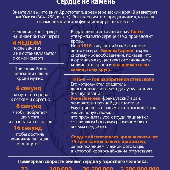 Что нужно знать о работе сердца?