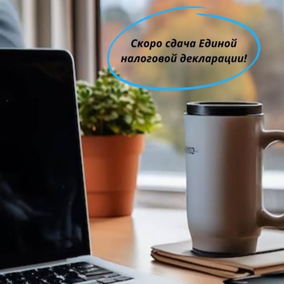 Что нужно знать перед сдачей Единой налоговой декларации?