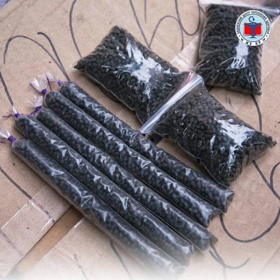 Почему насвай опасен: влияние на организм и развитие