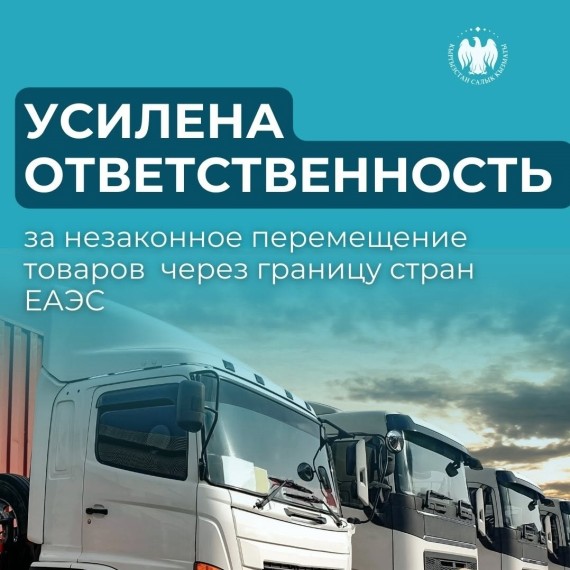 Усилены меры ответственности за незаконный ввоз и вывоз через границу ЕАЭС