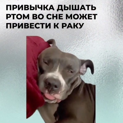 Привычка дышать ртом во сне может привести к раку