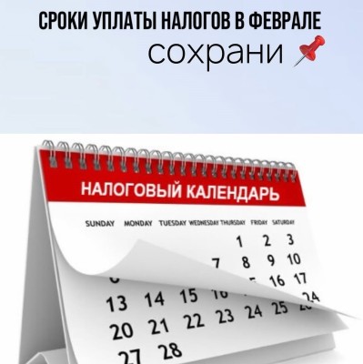 Сроки уплаты налогов в феврале