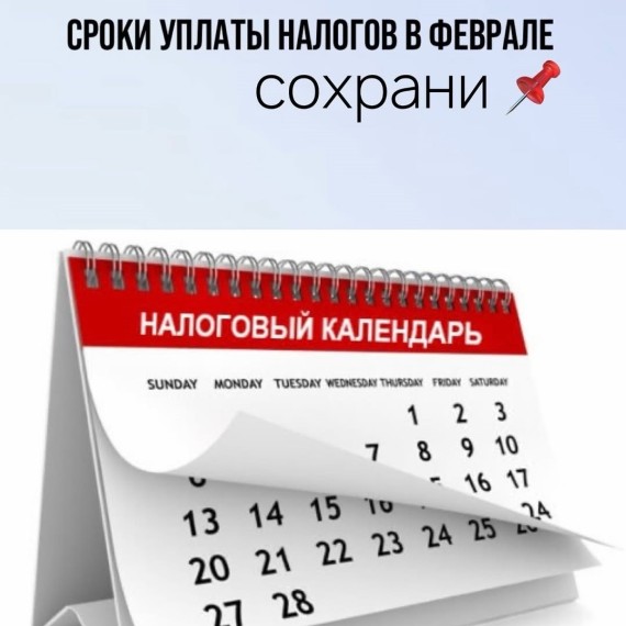 Сроки уплаты налогов в феврале