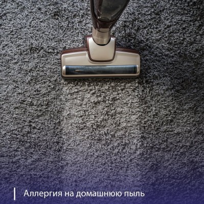 Симптомы аллергии на домашнюю пыль