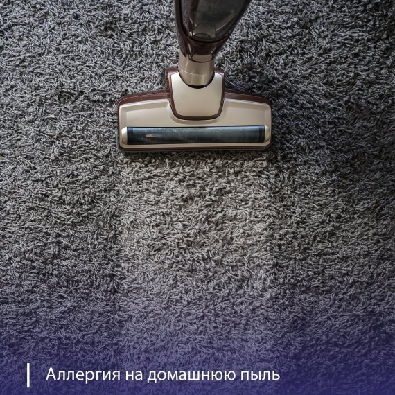 Симптомы аллергии на домашнюю пыль