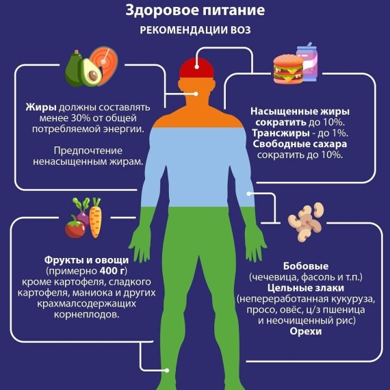 Здоровое питание. Рекомендации ВОЗ 