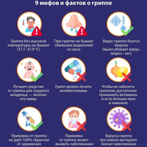 9 мифов и фактов о гриппе