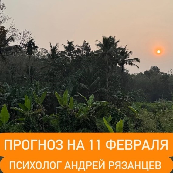 Гороскоп для всех знаков зодиака на 11 февраля 2026 года от Андрея Рязанцева