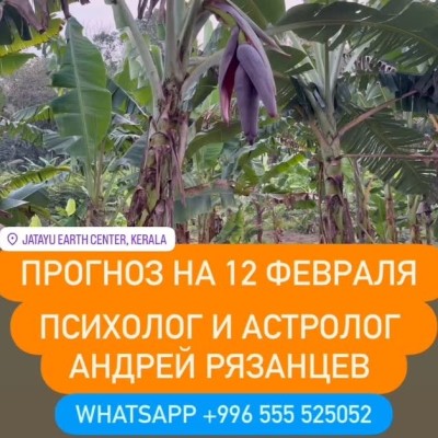 Гороскоп для всех знаков зодиака на 12 февраля 2026 года от Андрея Рязанцева