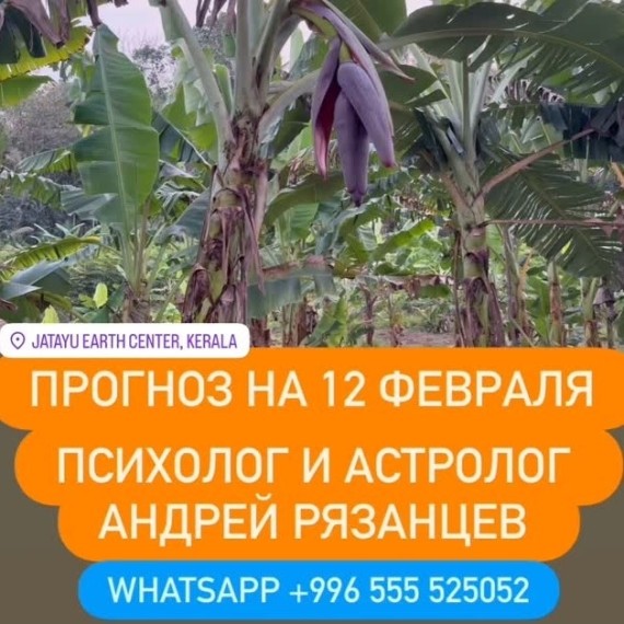 Гороскоп для всех знаков зодиака на 12 февраля 2026 года от Андрея Рязанцева