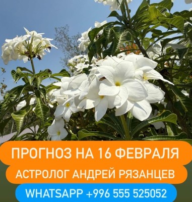 Гороскоп для всех знаков зодиака на 16 февраля 2026 года от Андрея Рязанцева