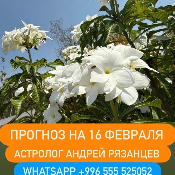 Гороскоп для всех знаков зодиака на 16 февраля 2026 года от Андрея Рязанцева