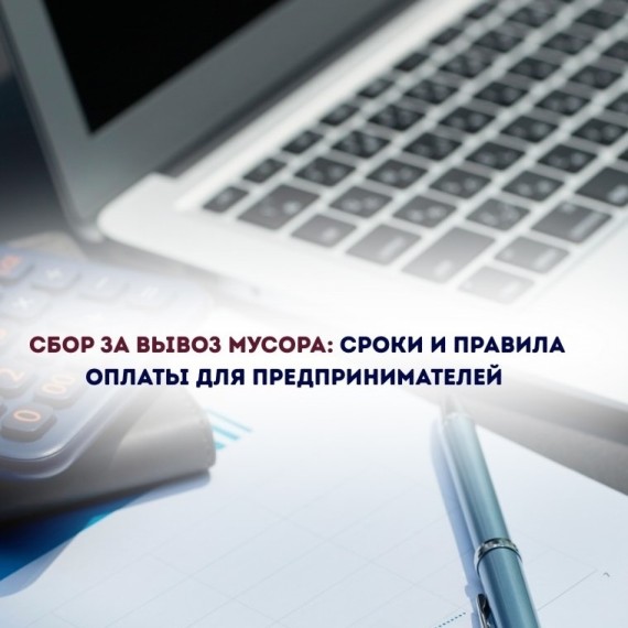 Сбор за вывоз мусора: сроки и правила оплаты для предпринимателей