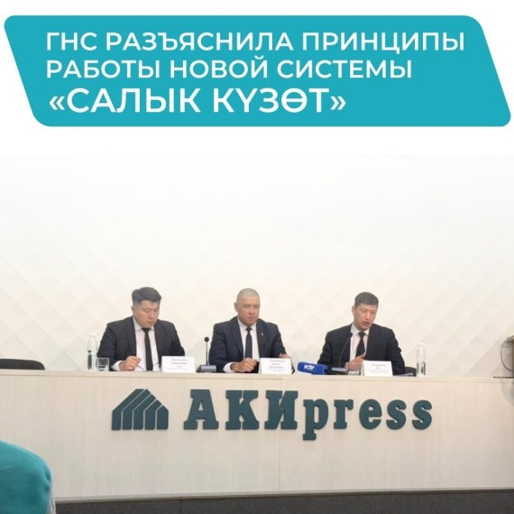 ГНС разъяснила принципы работы новой системы Салык Күзөт