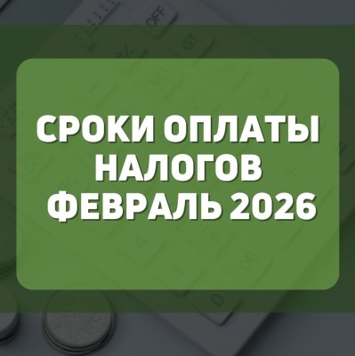 Сроки оплаты налогов февраль 2026 год
