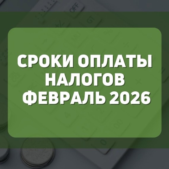Сроки оплаты налогов февраль 2026 год