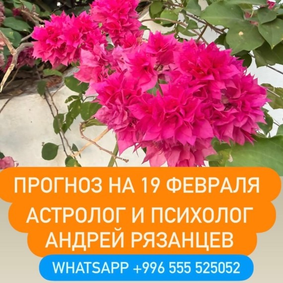 Гороскоп для всех знаков зодиака на 19 февраля 2026 года от Андрея Рязанцева