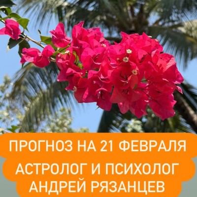 Гороскоп для всех знаков зодиака на 21 февраля 2026 года от Андрея Рязанцева
