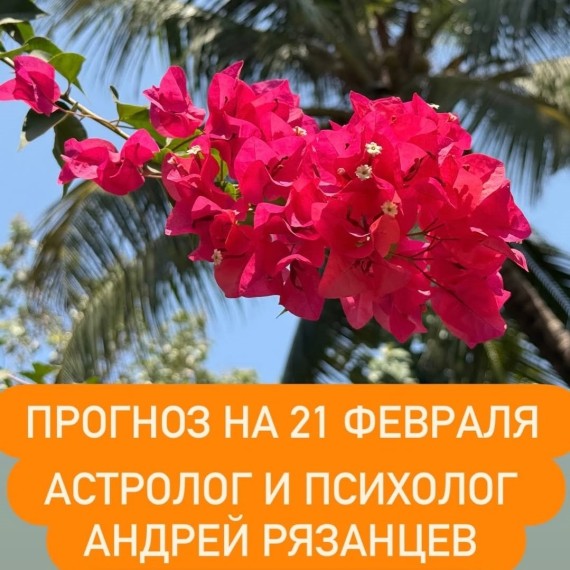 Гороскоп для всех знаков зодиака на 21 февраля 2026 года от Андрея Рязанцева
