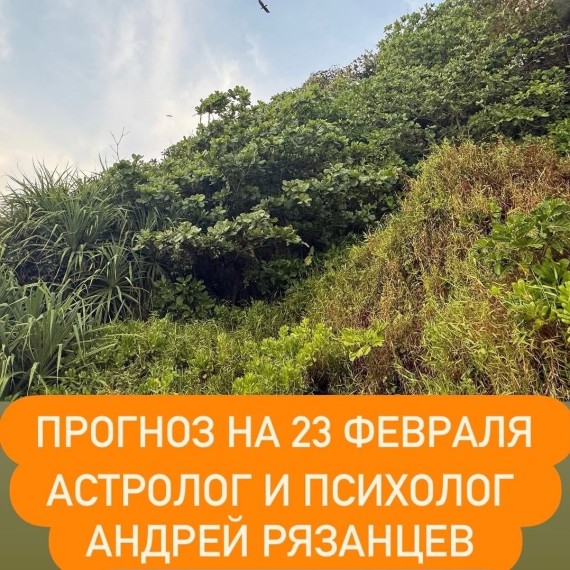 Гороскоп для всех знаков зодиака на 23 февраля 2026 года от Андрея Рязанцева