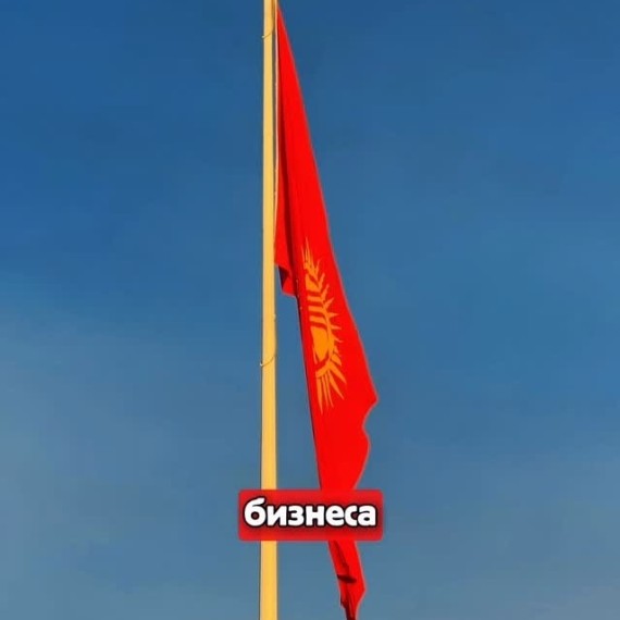 ГНС с января 2026 списывает все штрафы и пени по соцстрахованию