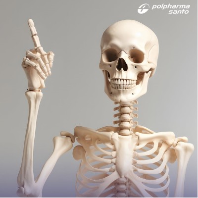 Почему кости такие прочные?