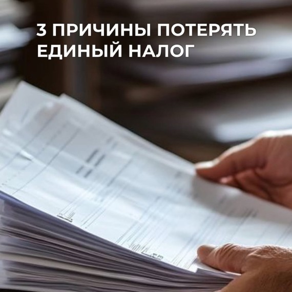 3 причины, по которым налоговая может снять с единого режима по закону
