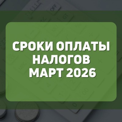 Сроки оплаты налогов март 2026