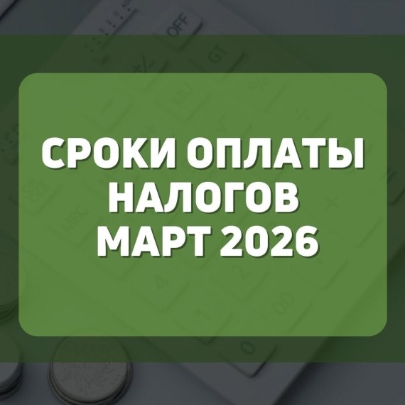 Сроки оплаты налогов март 2026