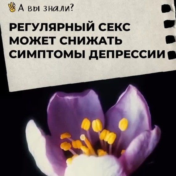 Регулярный секс может снижать симптомы депрессии